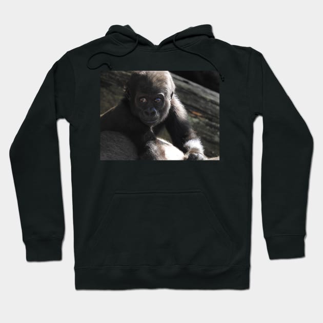 Baby Gorilla Hoodie by kirstybush